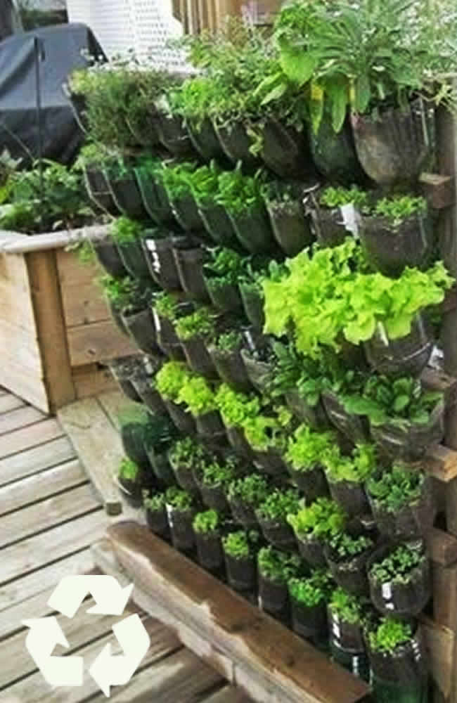 recicla3